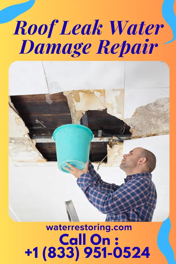 Roof Leak Water Damage Repair in Mound Valley, KS