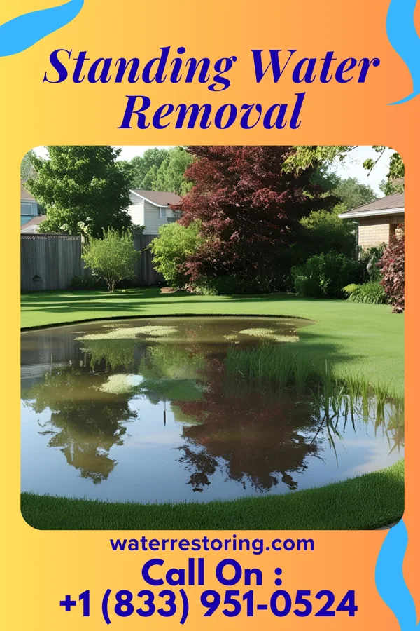 Standing Water Removal in Mound Valley, KS